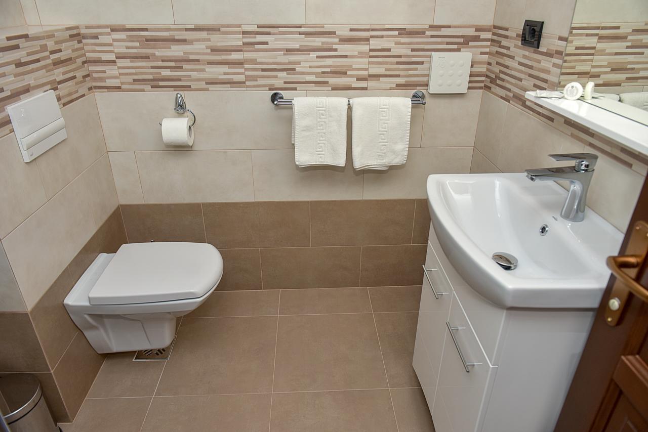 San Grecu House Apartment Făgăraş Exterior foto